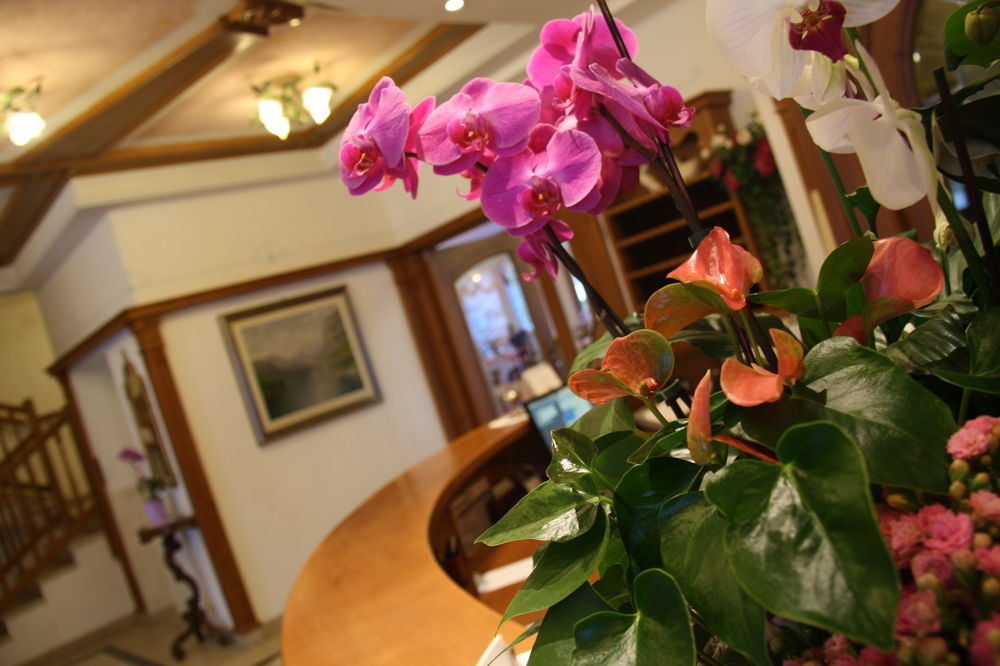 Ariston Lake View Hotel Molveno Bagian luar foto